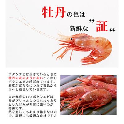 エビ 刺身 ボタンエビ 1kg ぼたんえび お刺身 冷凍 海老 お取り寄せ グルメ ギフト 北海道 送料無料 誕生日祝 御祝 御礼 内祝