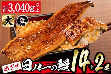 日ノ本一の鰻の蒲焼き＜大＞計15尾セット(計2,850g以上) wa24-006