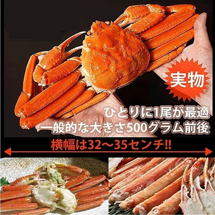 海鮮寄鍋・本ズワイ500ｇ2尾セット