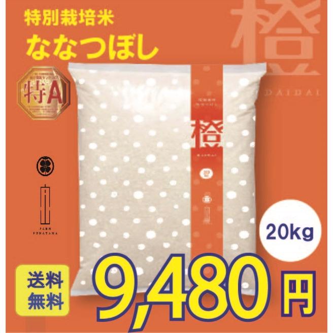 新米　ななつぼし　20kg　特別栽培米　令和5年産　北海道産　農家直送　農家直売