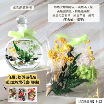 【A-ONE】浮游花DIY花材包 乾燥花 永生花花材包 花材包 桌花 尤加利葉 花籃 花盅 滿天星 七夕情人節 H12