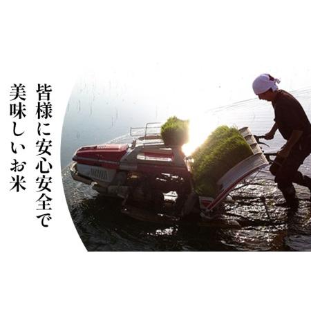 ふるさと納税 令和5年度産　ミルキークイーン（白米10kg） 石川県能美市