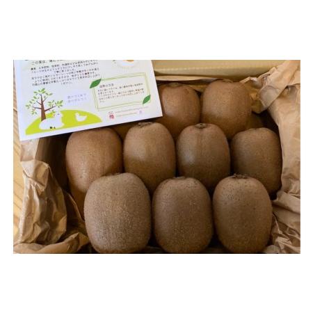 ふるさと納税 愛媛県西条産　新居田さんちのキウイフルーツ　約2kg（15〜20個入り） 愛媛県西条市