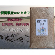 新潟県加茂産コシヒカリ「かも玄米」真空パック　10kg