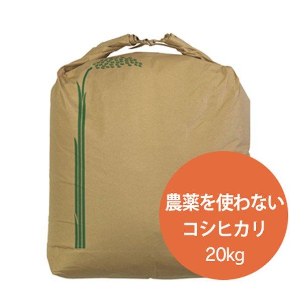 新米 令和5年  2023年産 石川県産 特別栽培米 農薬を使わないこしひかり 玄米20kg 産地直送 無農薬 コシヒカリ