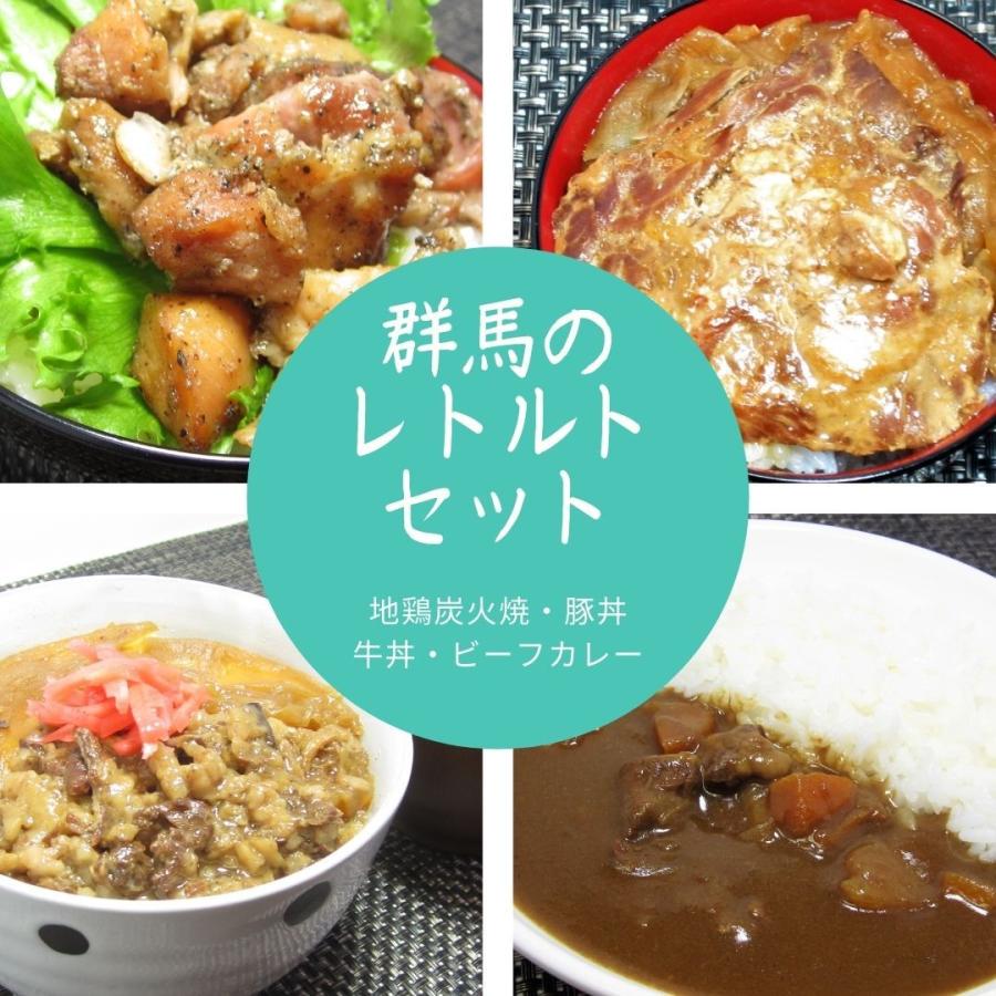 10％OFFクーポン配布中 惣菜4種セット 20食 牛丼 豚丼 カレー 地鶏炭火焼 送料無料