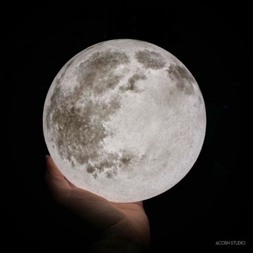 Acorn Studio 橡果藝術 月球 LUNA 15cm