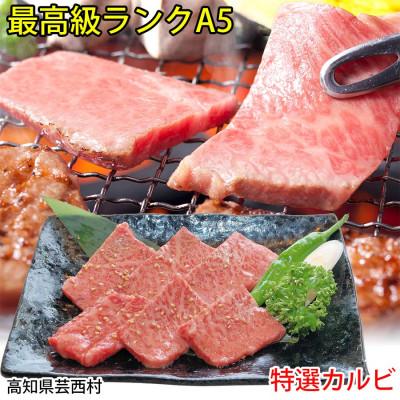 ふるさと納税 芸西村 土佐和牛特選カルビ焼肉500g　最高級A5ランク　高知県産