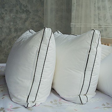 Adorar愛朵兒 可水洗純棉柔軟科技羽絲絨枕(2入)