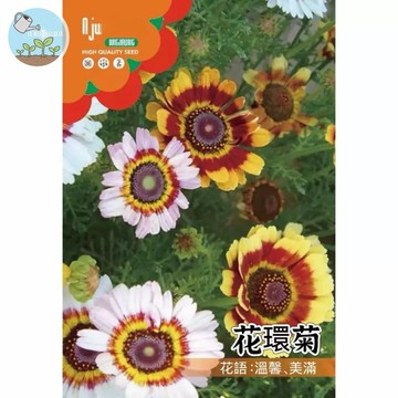 【原廠包裝】花環菊種子Chrysanthemum ring 2克裝 新手必活 秋播必買 野花組合 英國雛菊風格 盆栽花壇