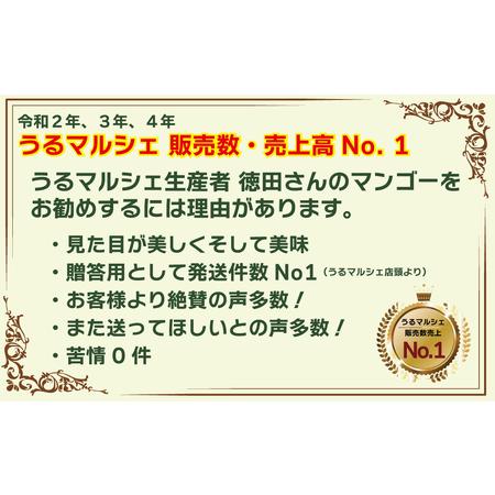 ふるさと納税 徳田さんの最高級贈答用マンゴー　中玉3個　　アップルマンゴー　贈答用　最高級　美しい　美味.. 沖縄県うるま市