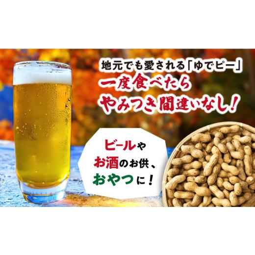 ふるさと納税 長崎県 大村市 塩ゆで落花生 合計約2000g（500g×4袋）約2kg 大村市 浦川豆店 [ACAB107]