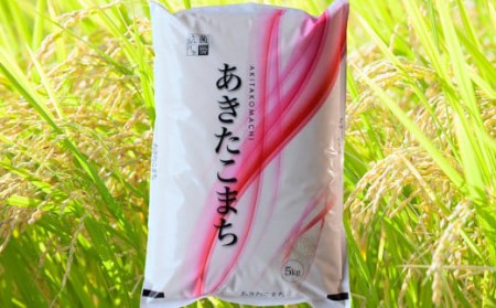 令和5年産 茨城あきたこまち 5kg 1袋 あきたこまち 白米 精米 ごはん お米 国産 茨城県産 守谷市 送料無料