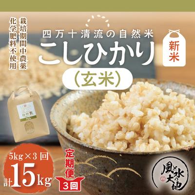 ふるさと納税 四万十市 四万十清流の自然米(コシヒカリ)玄米5kg×3(合計15kg