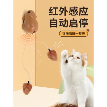 貓玩具自嗨解悶電動升降球水豚逗貓棒充電消耗體力小貓咪用品大全