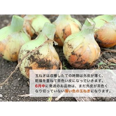 ふるさと納税 兵庫県認証食品★特別栽培★淡路島たまねぎ 兵庫県南あわじ市