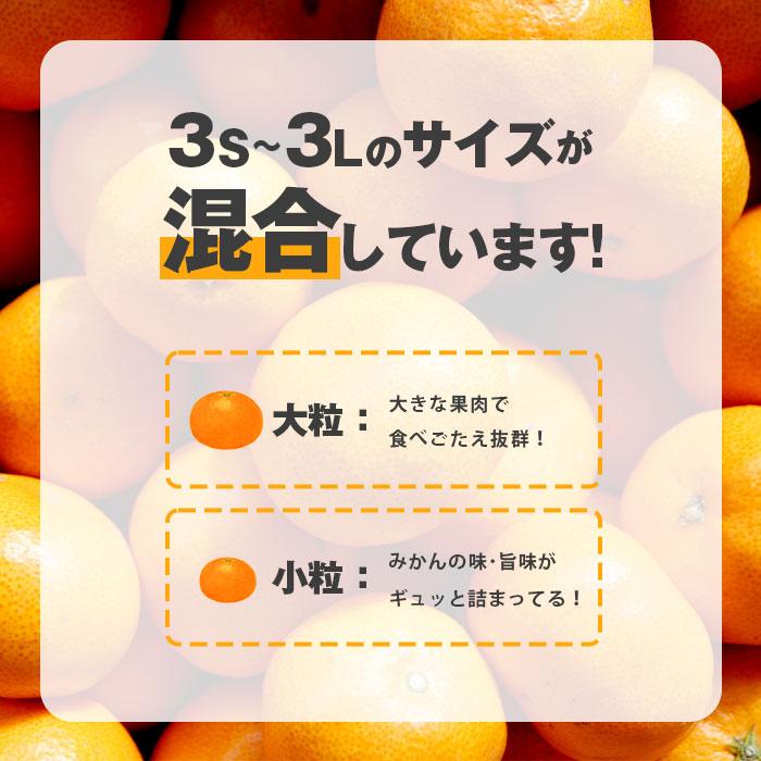 みかん 三ケ日みかん ミカン 10kg 訳あり 訳アリ 三ヶ日みかん 早生 三ヶ日 どうまいらぁ S 3L サイズ不揃 産地直送 訳ありみかん ミカン 蜜柑 10キロ 静岡県