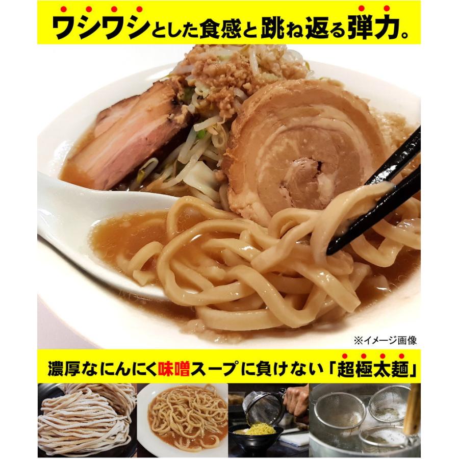 ラーメン お試しセット 送料無料 二郎系ラーメン 濃厚にんにく味噌味！≪豚系・味噌ラーメン２食セット≫二郎系インスパイア