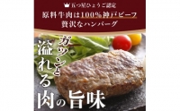 五つ星ひょうご認定特製神戸ビーフハンバーグセット(100g×5個入り)