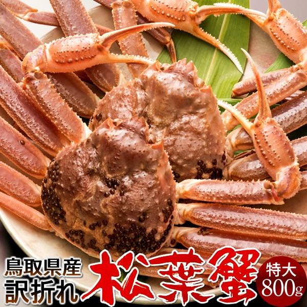 松葉ガニ 松葉蟹 訳あり［B特大］800g×2尾 活まつばがに 活き 足折れ 新物 鳥取県産 生 マツバガニ 日本海ズワイガニ［お歳暮 2023 ギフト 御歳暮］