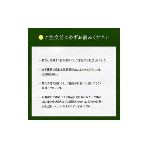 ふるさと納税 富山県 氷見市  豪華海鮮 氷見漁港 直送 ！ミシュラン星付き店にも卸す松本魚問屋が厳選 富山 氷見 産地直送 オーダー…