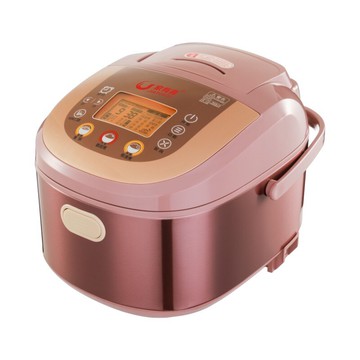 免運 電飯煲110v伏廚房小家電智能不粘電飯鍋5升4L美國日本加拿大臺灣.