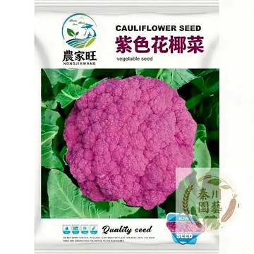 【原裝進口】紫晶花椰菜種子 紫花菜籽 陽台盆栽四季播 高產抗病 花青素爆表 台灣適種 蔬菜種子