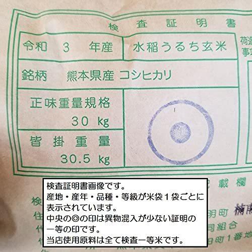 新米 令和3年 熊本県 天草地方産 こしひかり 特別栽培米 玄米 5kg