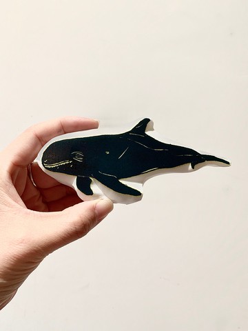 鯨豚印章 小虎鯨