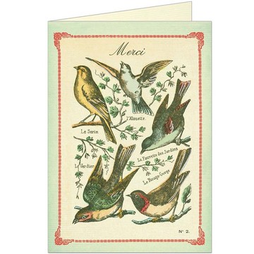 Cavallini & Co.  GREETING CARD 感謝卡(大)_鳥兒們