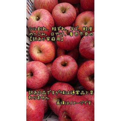 ふるさと納税 須坂市 見栄えはB級、味はA級。葉とらず完熟サンふじ約5kg(11〜20個)