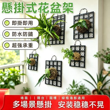 台灣出貨⚡️加厚鹿角蕨板 植床板 石斛蕨類板 美植板 悬掛裝飾品 植床板 园藝掛板園藝掛架 花盆掛架 單盆掛架