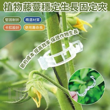 【粿女兒商行】🔥現貨 植物藤蔓穩定生長固定夾 園藝用品 器具
