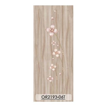 【橙門 Orangedoor】房間門/浴室門-防潮、防蛀、表層耐磨、有效降噪-OR2193-06T