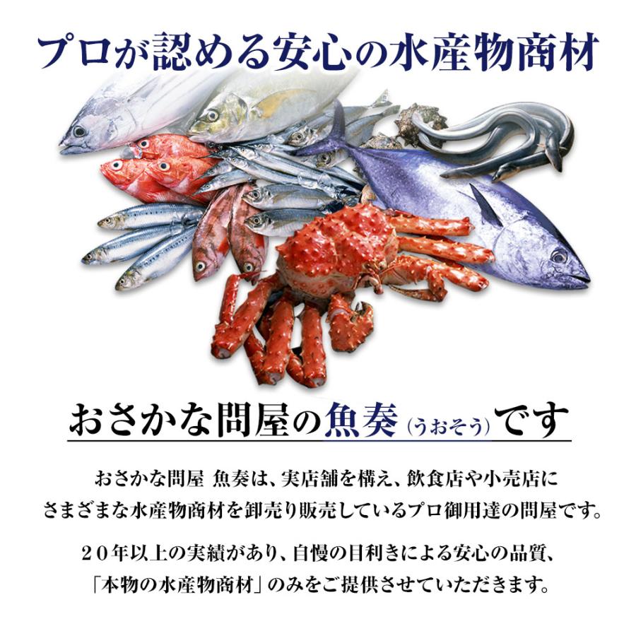 釜揚げしらす 1kg メガ盛り シラス しらす干し ちりめん じゃこ 送料無料 国産 ピザ パスタ しらす丼 魚介 海鮮