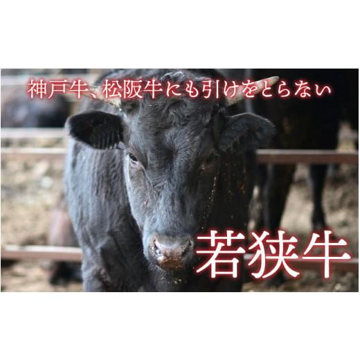 ふるさと納税 福井県 福井市  贅沢すぎる！ご褒美寿司 生さば寿司 ＆ 若狭牛炙りロース寿司 [B-013035]