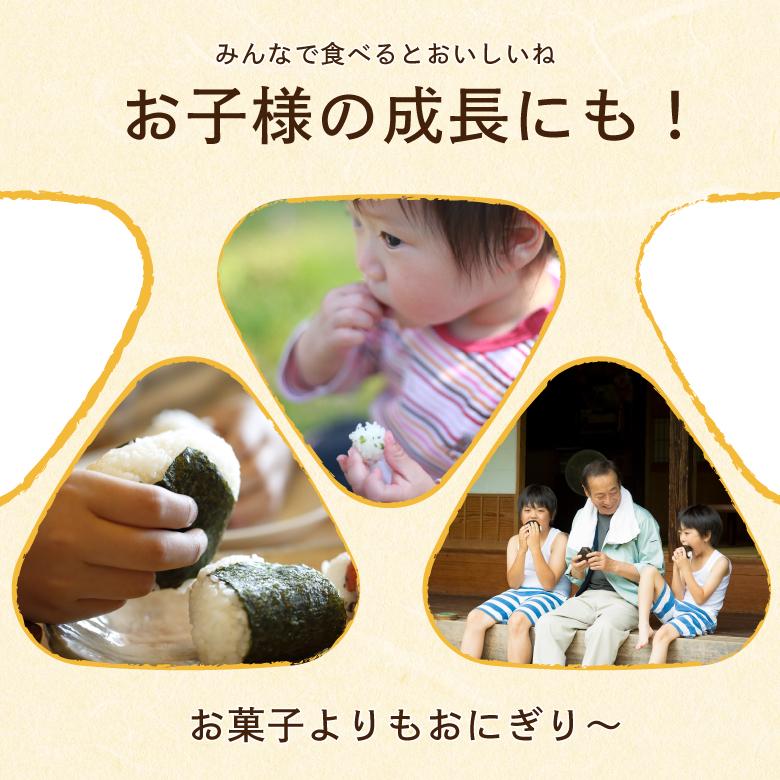 海苔 有明産 選べる4種 訳あり焼き海苔 有明全型40枚 or 有明上級品全型30枚 or 有明最高級品全型15枚 or 有明味付け海苔8切160枚 お得パック メール便送料無料