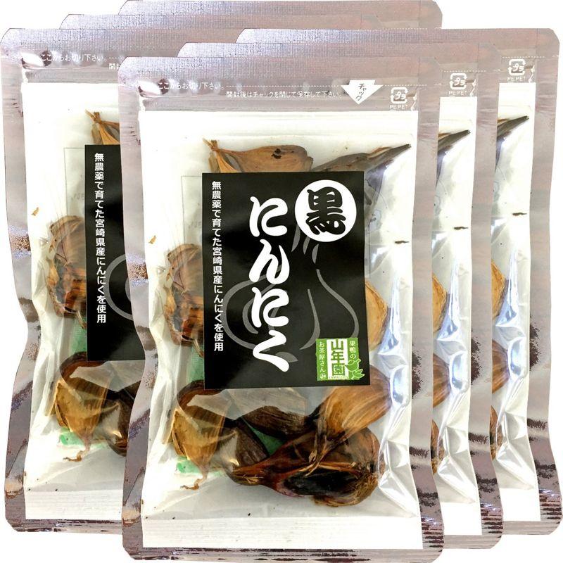 国産 無農薬 100%黒にんにく 50g×6袋セット 宮崎県産 巣鴨のお茶屋さん 山年園