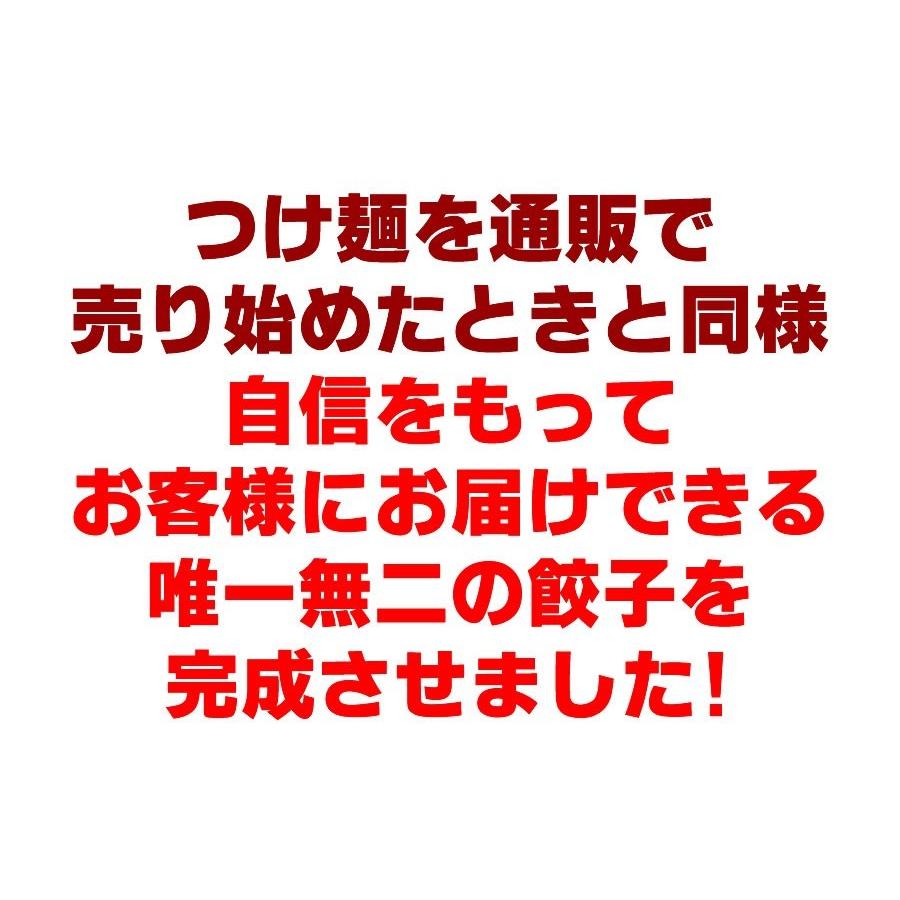 タレ不要 麺処 田ぶし 特製餃子 40個入り　同一配送先2セット購入で20個おまけ　送料無料 訳あり グルメ