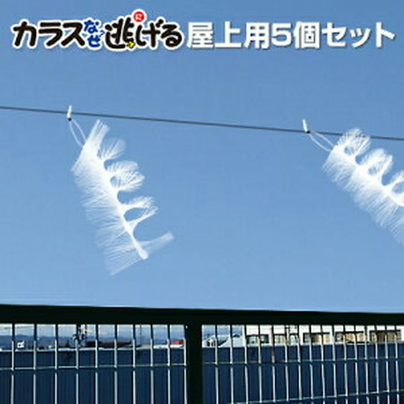 カラス撃退！カラスなぜ逃げる? 農園 工場用5m ファッション カラス