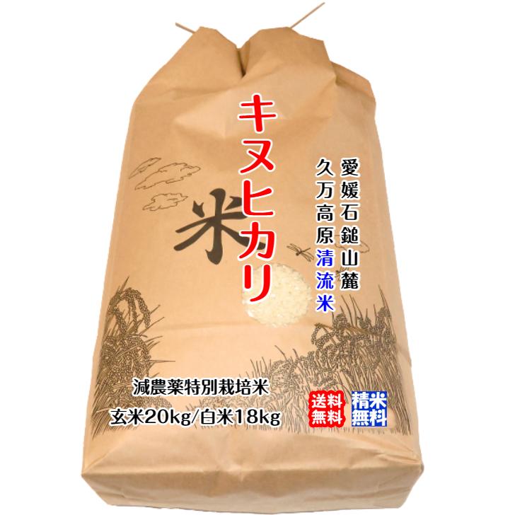 キヌヒカリ 玄米20kg 白米18kg 2023年産 石鎚山麓 久万高原 清流米 減農薬 特別栽培米 高原清流が育んだお米 百姓直送 送料無料