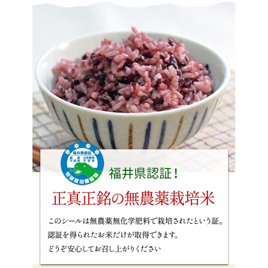 黒米（紫黒苑・古代米）1kg 福井県令和5年産 無農薬・無化学肥料栽培