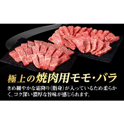 ふるさと納税 長崎県 壱岐市 壱岐牛 焼肉用 モモ・バラ（カルビ） 500g《壱岐市》 肉 牛肉 焼肉 モモ バラ カルビ BBQ [JFE058] 19000 19…