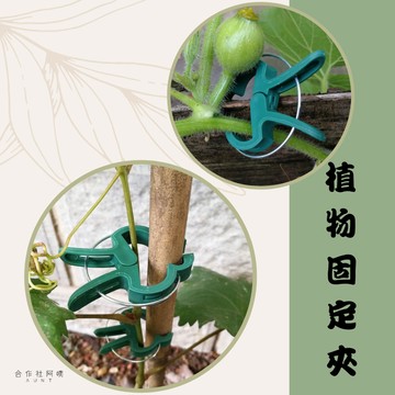【台灣現貨-免運】花夾 塑膠夾 花盆 大號 夾子 園藝 植物固定夾 園藝夾 嫁接夾 藤蔓夾 藤蔓固定夾 蘭花夾子