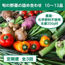 旬の野菜と栽培期間中農薬不使用の生姜200g 全3回