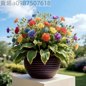 現貨 新品 香水吊蘭（50粒）四季種植 濃香型 飄香吊籃 綠植花卉 四季開花 盆栽庭院 淨化空氣 垂吊種子