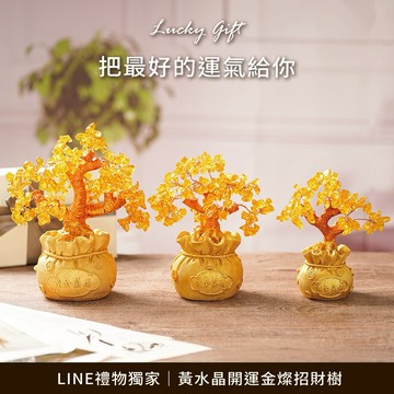 [快速出貨]【GOODTIME】 黃水晶開運金燦招財樹 水晶擺飾 小禮物 淨化能量 辦公室小物 金牛座 開運納福 招財禮物 喬遷禮物 生日禮物 送禮推薦 520禮物 雙子座