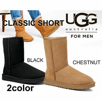 未使用アグ UGG FORMEN Mクラシック ミニ サイズ27 ショートjunko1330