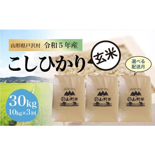 令和5年産 コシヒカリ  定期便 30kg（10kg×1カ月ごと3回お届け）＜配送時期指定可＞ 山形県 戸沢村