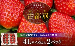 高級いちご「古都華」4Lサイズ以上２パック　いちご 高級 古都華 4Lサイズ以上 280g × 2パック 約560g 深みのある濃厚な味わい ほどよい酸味 高い糖度 華やかな香り 美味しく甘い 光沢のある濃いルビー色 フルーツ 果物 宙吊り包装 お取り寄せ 送料無料